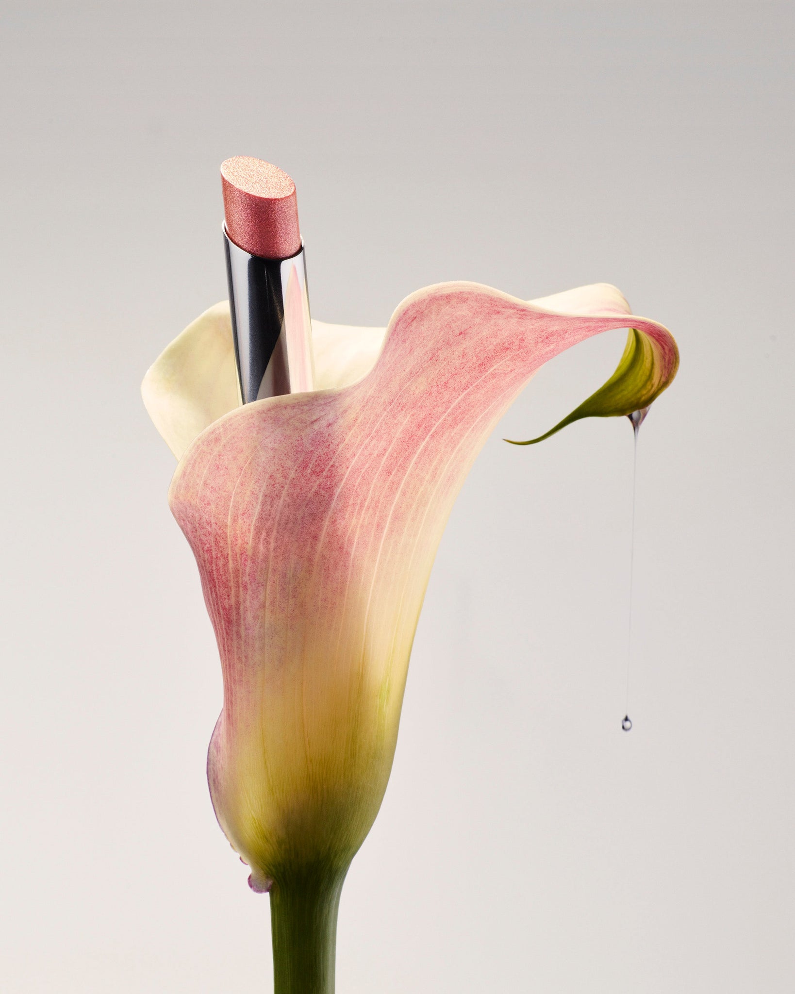 isamaya beauty メタルリップバーム　パントマイム LIPS | ISAMAYA US – Isamaya